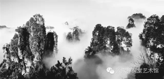 香港免费资料最准的网站