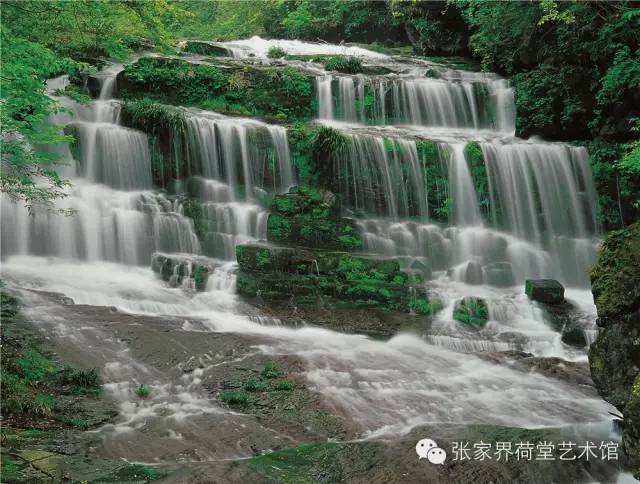 香港免费资料最准的网站