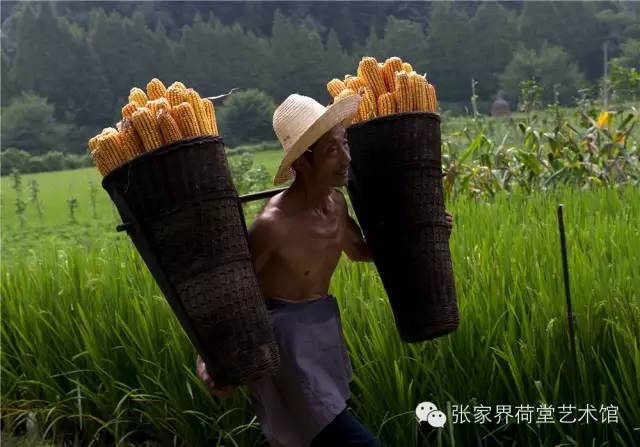 香港免费资料最准的网站